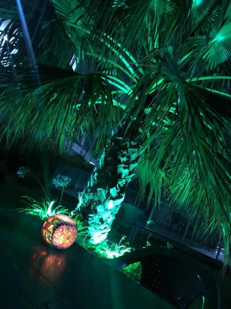 Palmiyem Apart Otel セェフェリヒサール エクステリア 写真
