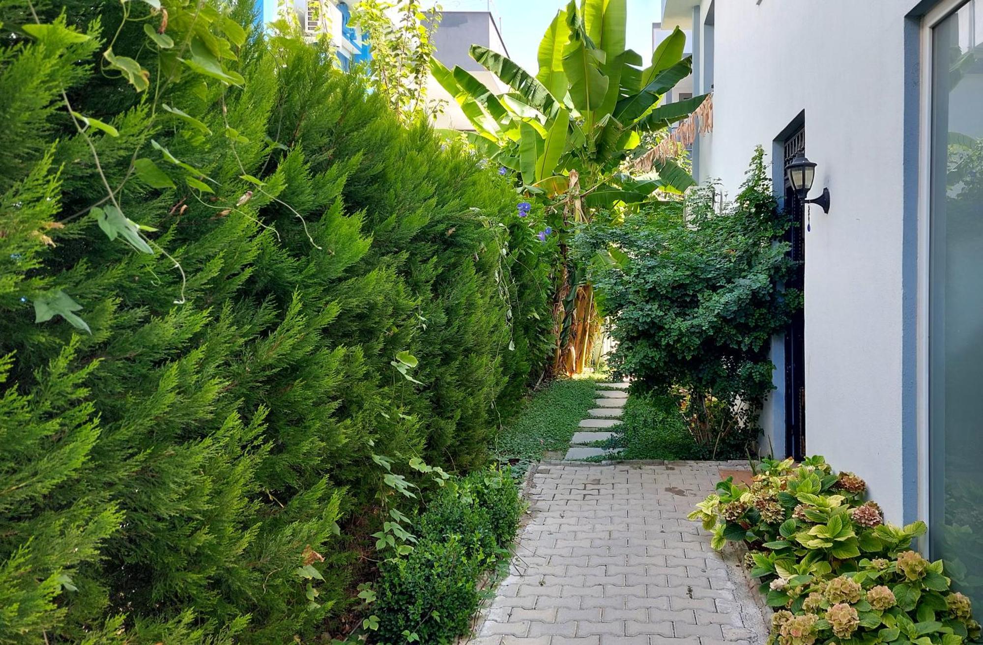 Palmiyem Apart Otel セェフェリヒサール エクステリア 写真